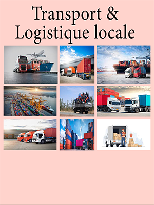 Transport-Logistique locale